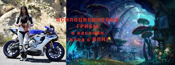 марки lsd Богданович