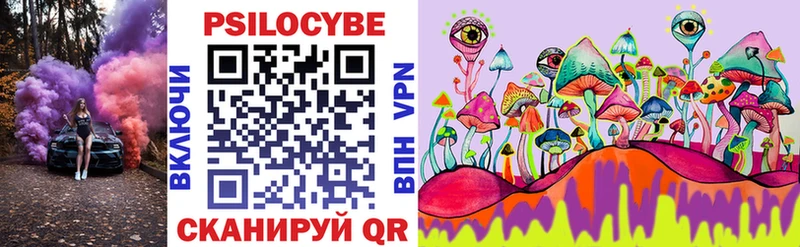 купить закладку  Дигора  Галлюциногенные грибы MAGIC MUSHROOMS 